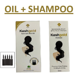 KeshGold Ayurvedic Hair Oil 120 ml | For Hair Fall Control and Hair Growth With Oiling Comb + Kesh Gold Anti Dandruff Shampoo | Combo of 2