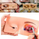 Makeup Practice Face Board, Silicone Makeup Face - Practice Skin Board for Makeup | Eye Makeup Practice for Beginner Makeup Artist For The Perfect Makeup (SKIN, 1 - Pcs) Makeup Practice Face Board, Silicone Makeup Face - Practice Skin Board for Makeup | Eye Makeup Practice for Beginner Makeup Artist For The Perfect Makeup (SKIN, 1 - Pcs)