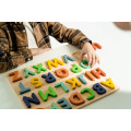 Educational & Learning Toys