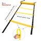 Busy Bear Super Speed Agility Ladder for Track and Field Sports Training 4 Meter (4m Ladder) + 6 Pieces PVC Cones of Size 6 Inch | Combo of 7