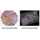 Set of 24 Neon Gel Pens consisting Fluorescent, Metallic, Glitter, and Pastel colour pens For DIY Art & Crafts (Sketching, Drawing & Painting Purpose) Set of 24 Neon Gel Pens consisting Fluorescent, Metallic, Glitter, and Pastel colour pens For DIY Art & Crafts (Sketching, Drawing & Painting Purpose)