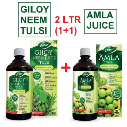 Dabur Amla Juice (1 Ltr): Rich Source of Vitamin C and Antioxidants + Dabur Giloy Neem Tulsi Juice (1 Ltr) | Immunity boosting | Pure, Natural and 100% Ayurvedic Juice - Combo of 2