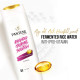 Pantene Advanced Hairfall Solution, Hairfall Control Shampoo, Pack of 1, 340ML, Pink