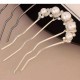 Hair Stick French Hairpin Vintage Forks Sticks Bobby Pin Kit for Bun Women Girls Hairstyle Hair Accessories